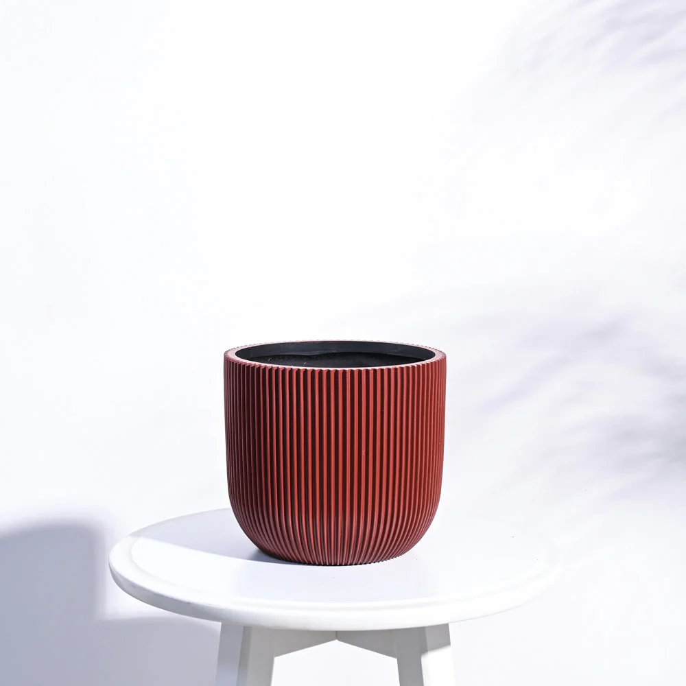 Zuri Planter Ball Groove - Image 40