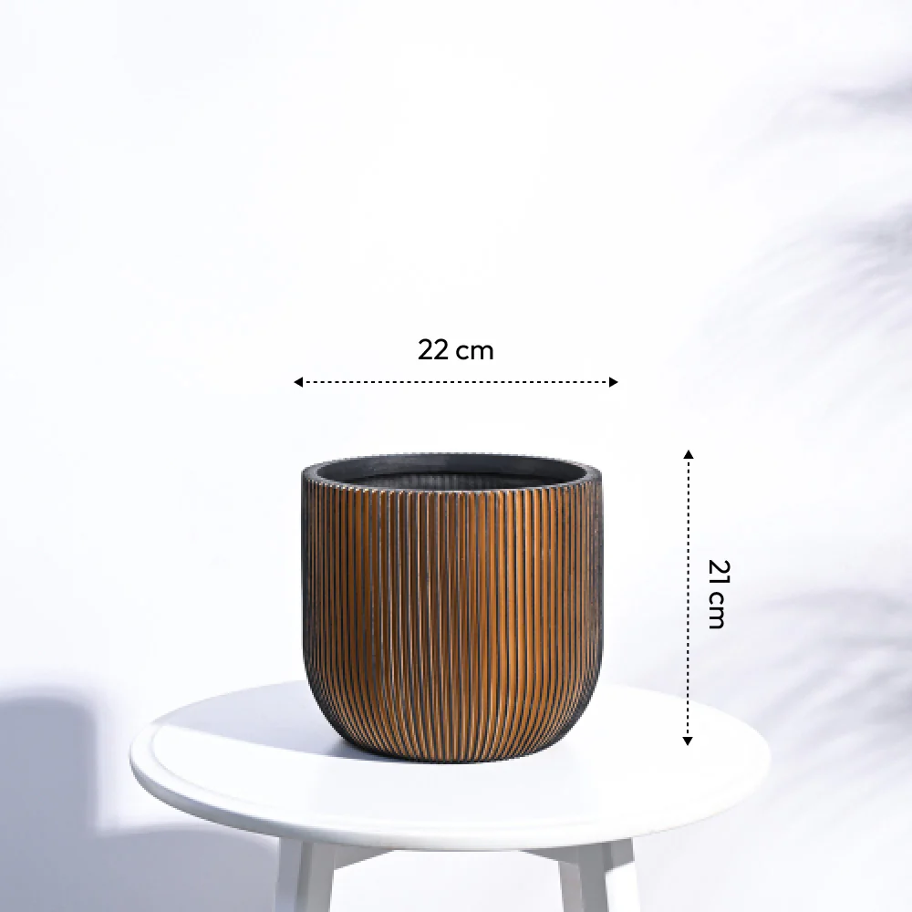 Zuri Planter Ball Groove - Image 57