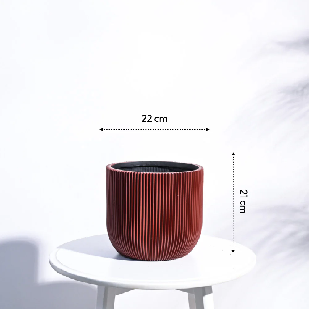 Zuri Planter Ball Groove - Image 62
