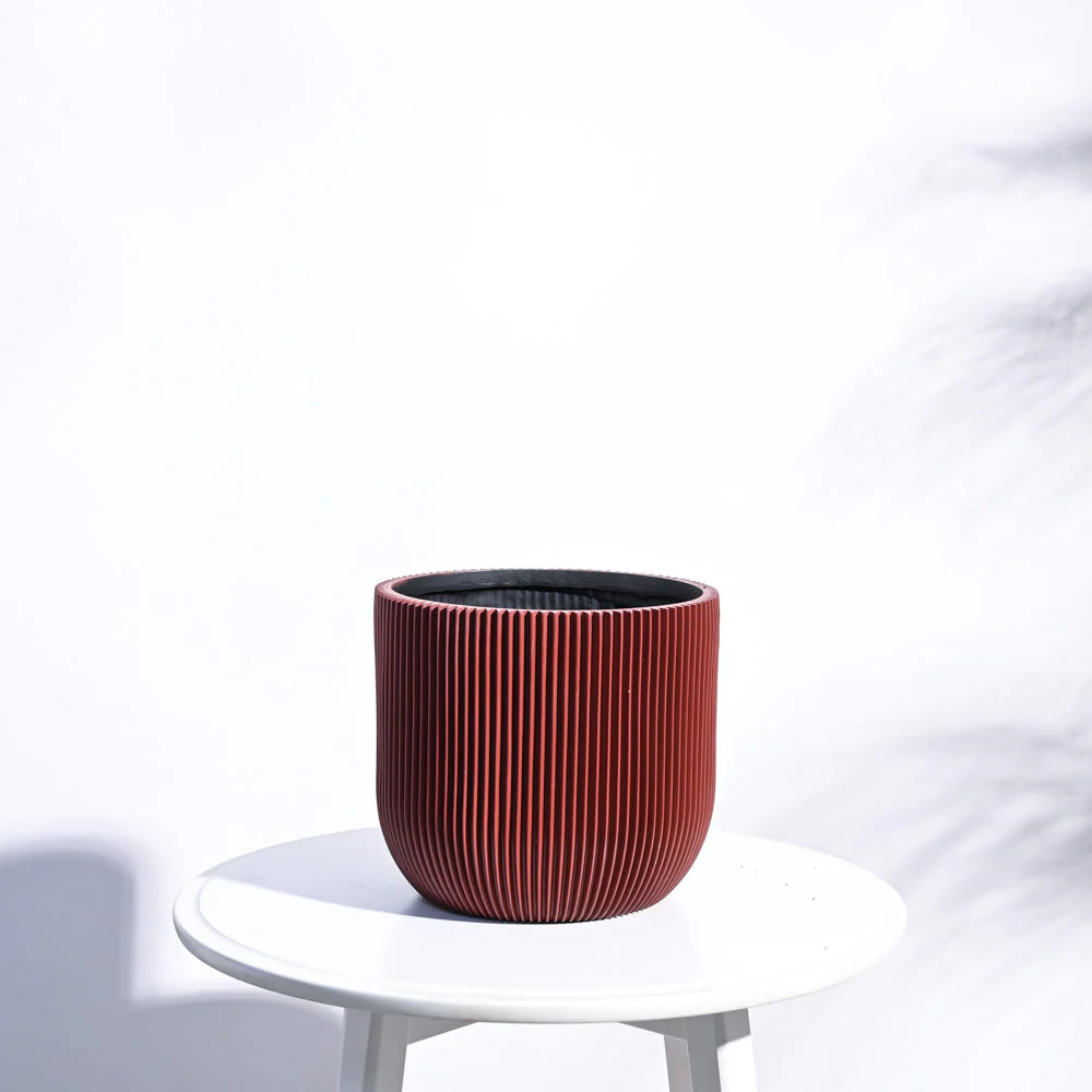 Zuri Planter Ball Groove - Image 63