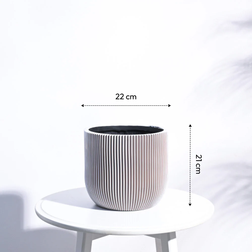 Zuri Planter Ball Groove - Image 68