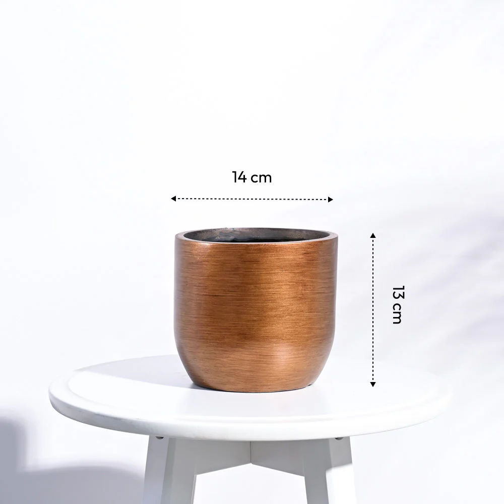Zuri Planter Ball Retro - Image 8