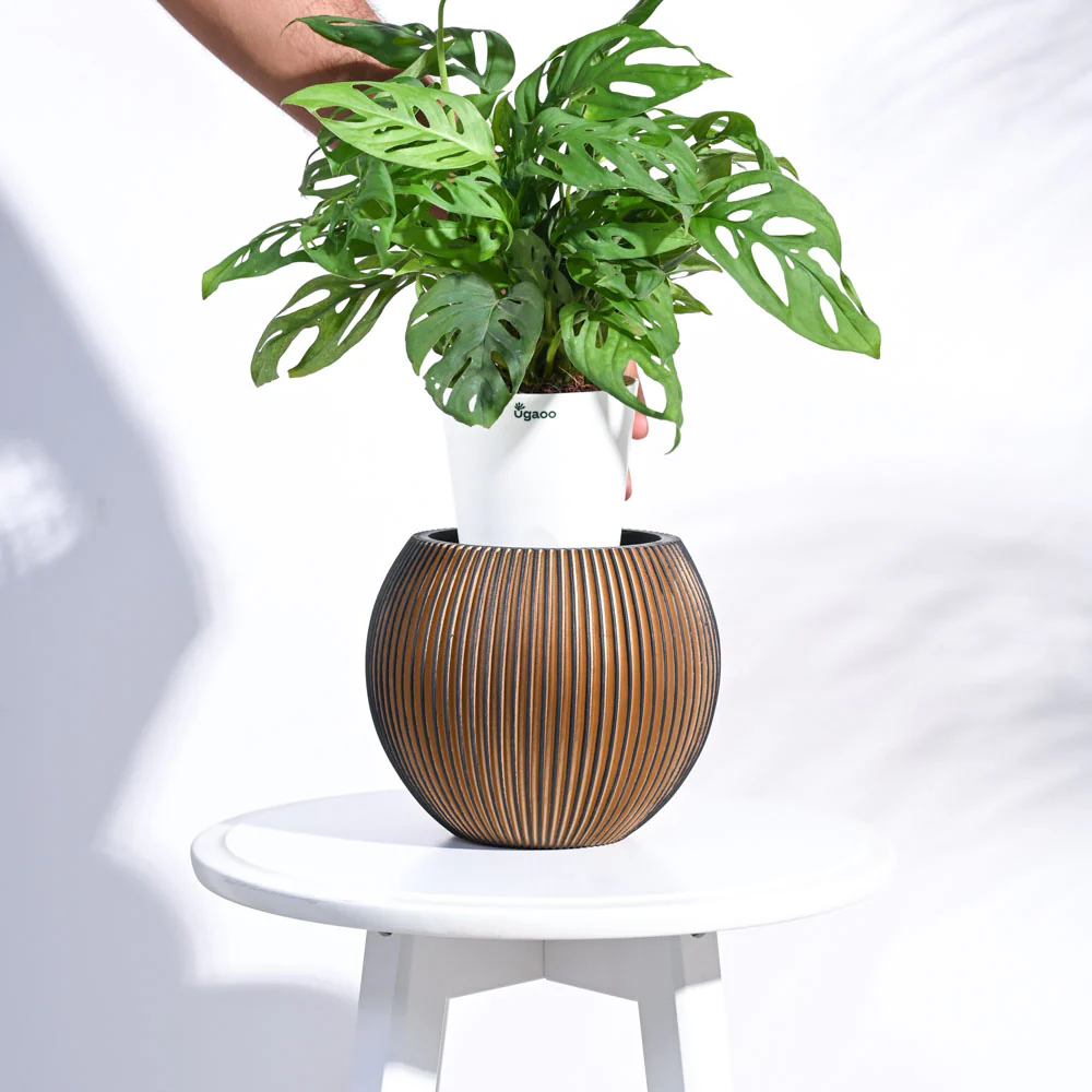 Zuri Vase Ball Groove - Image 11