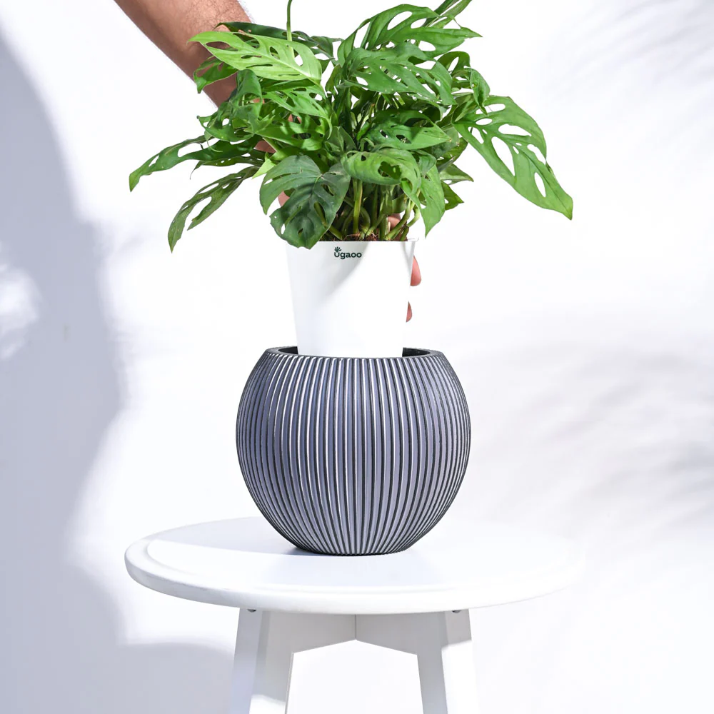 Zuri Vase Ball Groove - Image 17