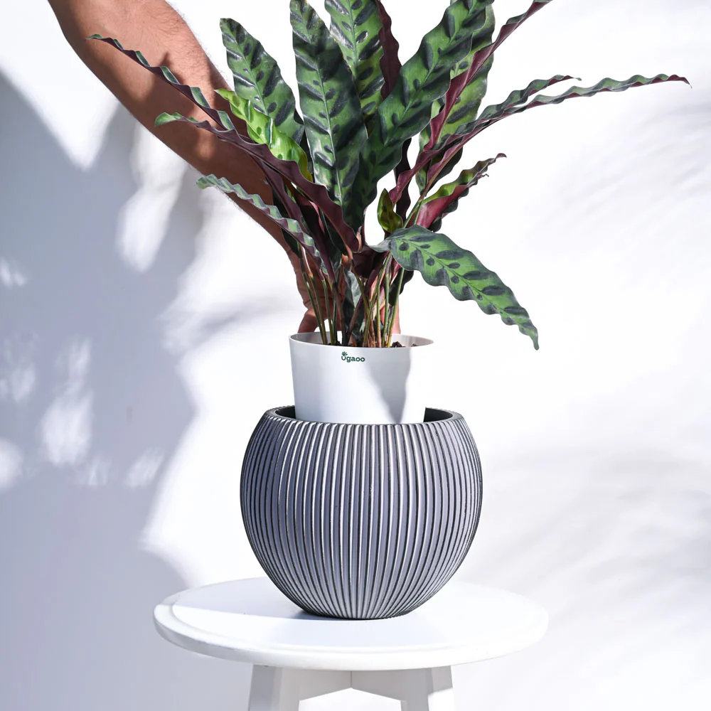 Zuri Vase Ball Groove - Image 23