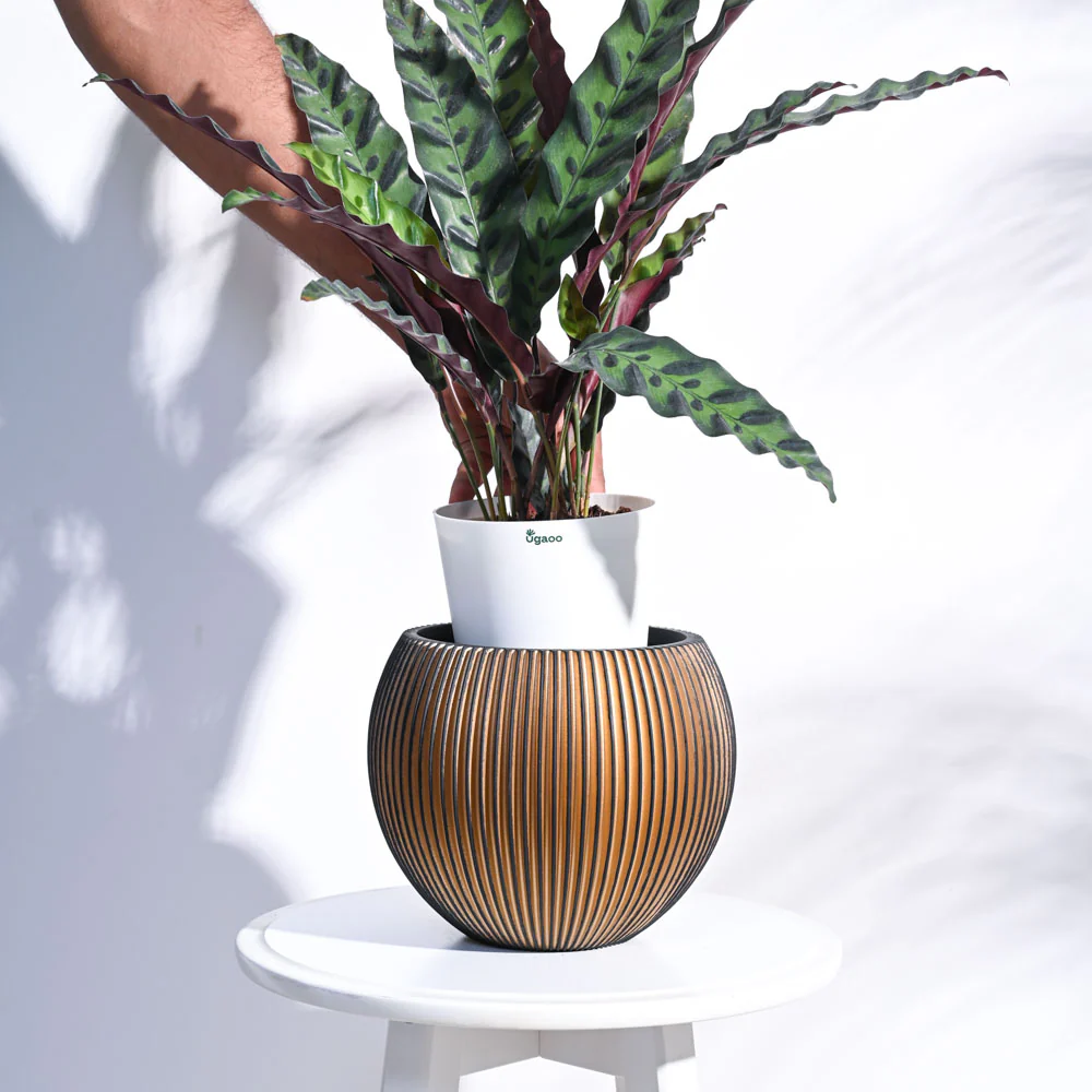 Zuri Vase Ball Groove - Image 28