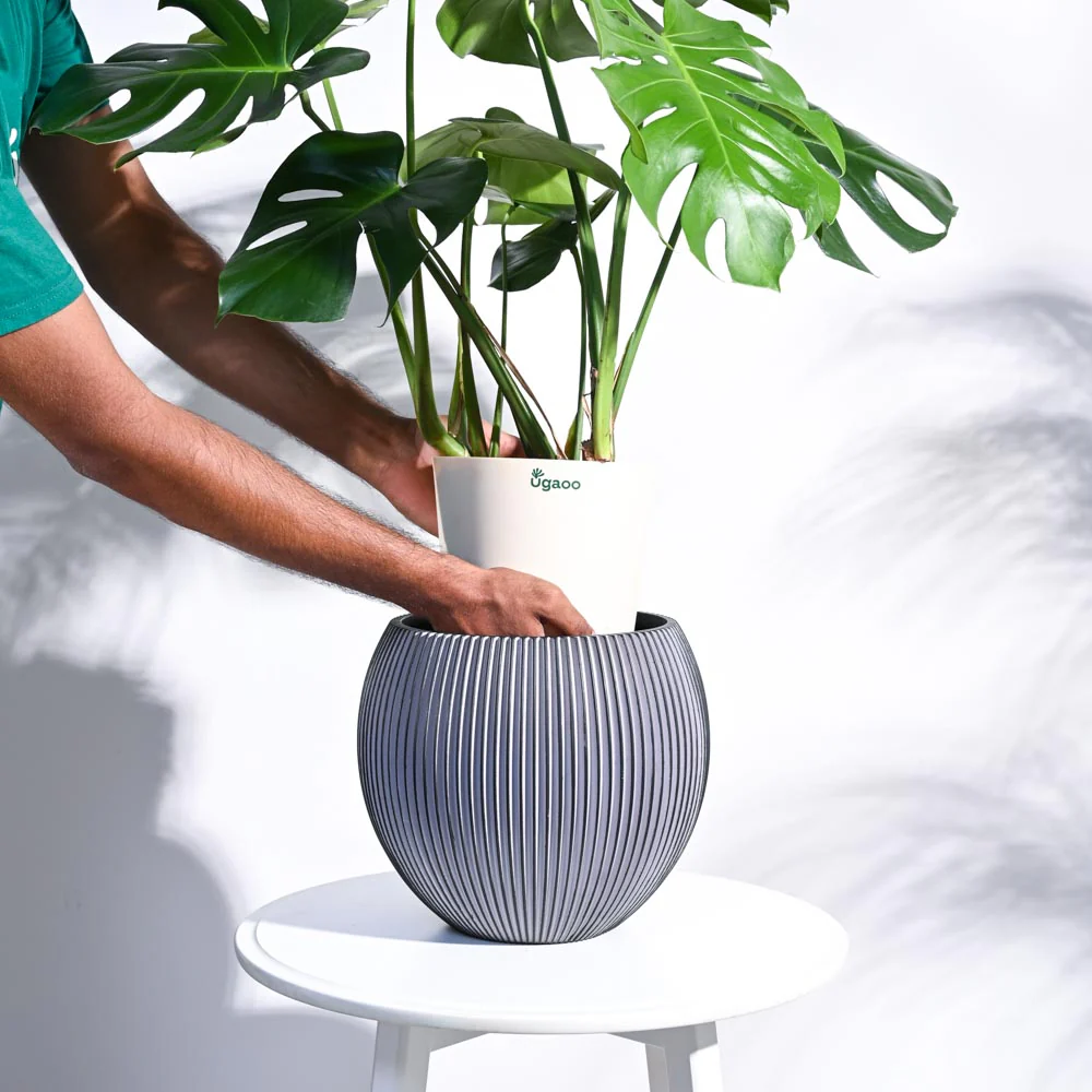 Zuri Vase Ball Groove - Image 32