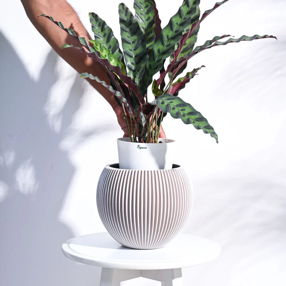Zuri Vase Ball Groove - Image 40