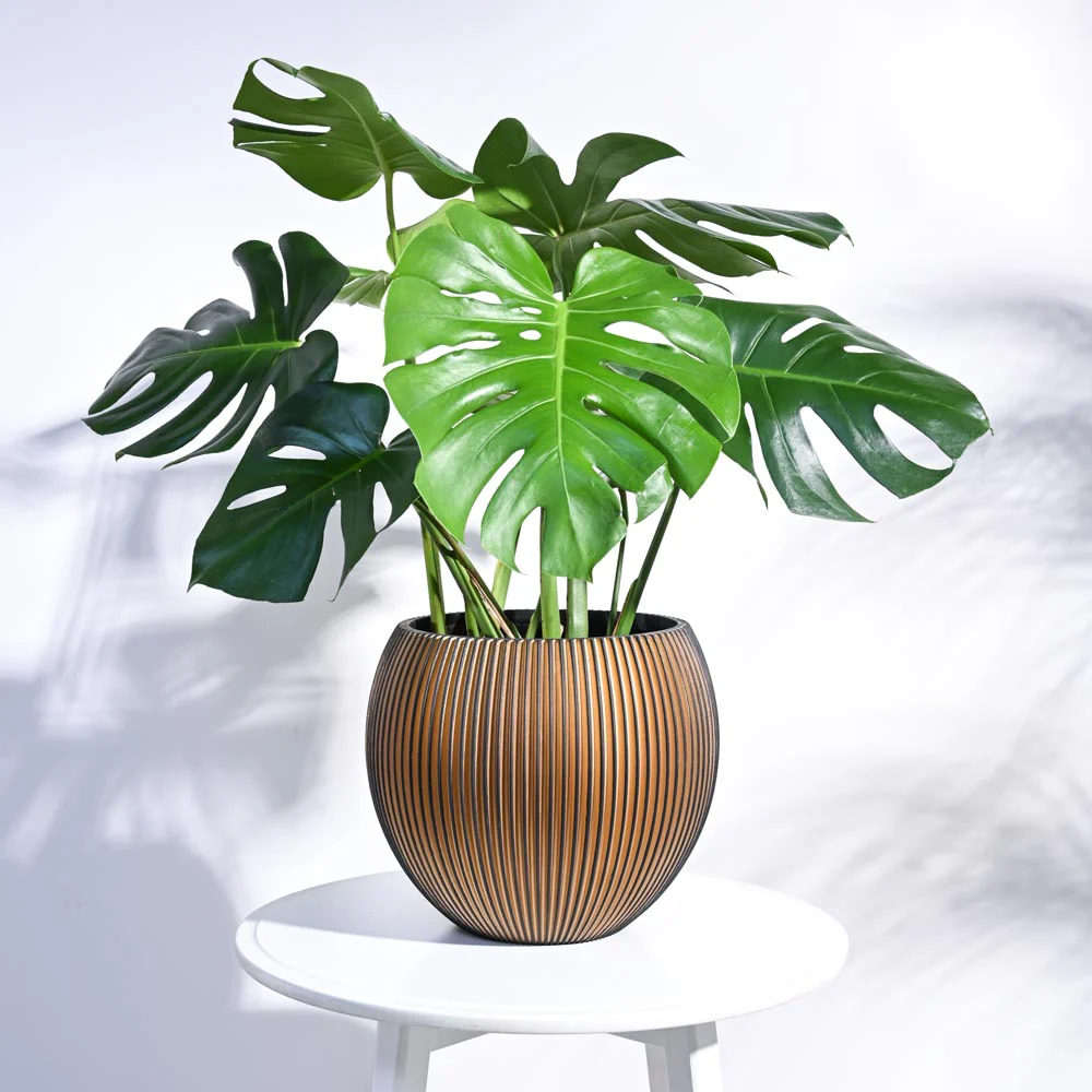Zuri Vase Ball Groove - Image 43