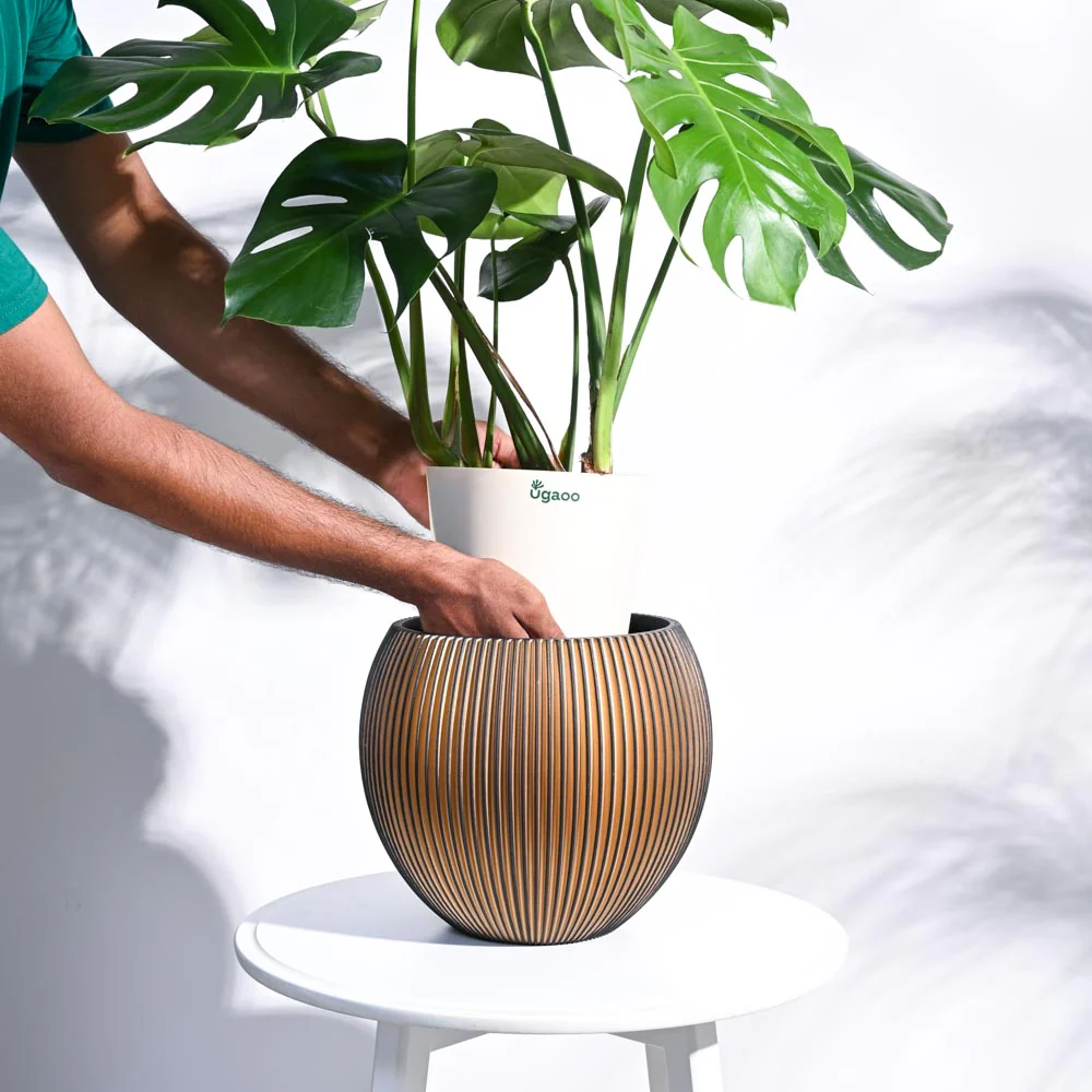 Zuri Vase Ball Groove - Image 46