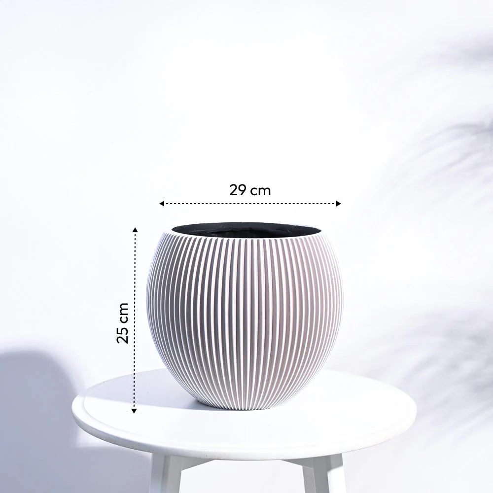 Zuri Vase Ball Groove - Image 50