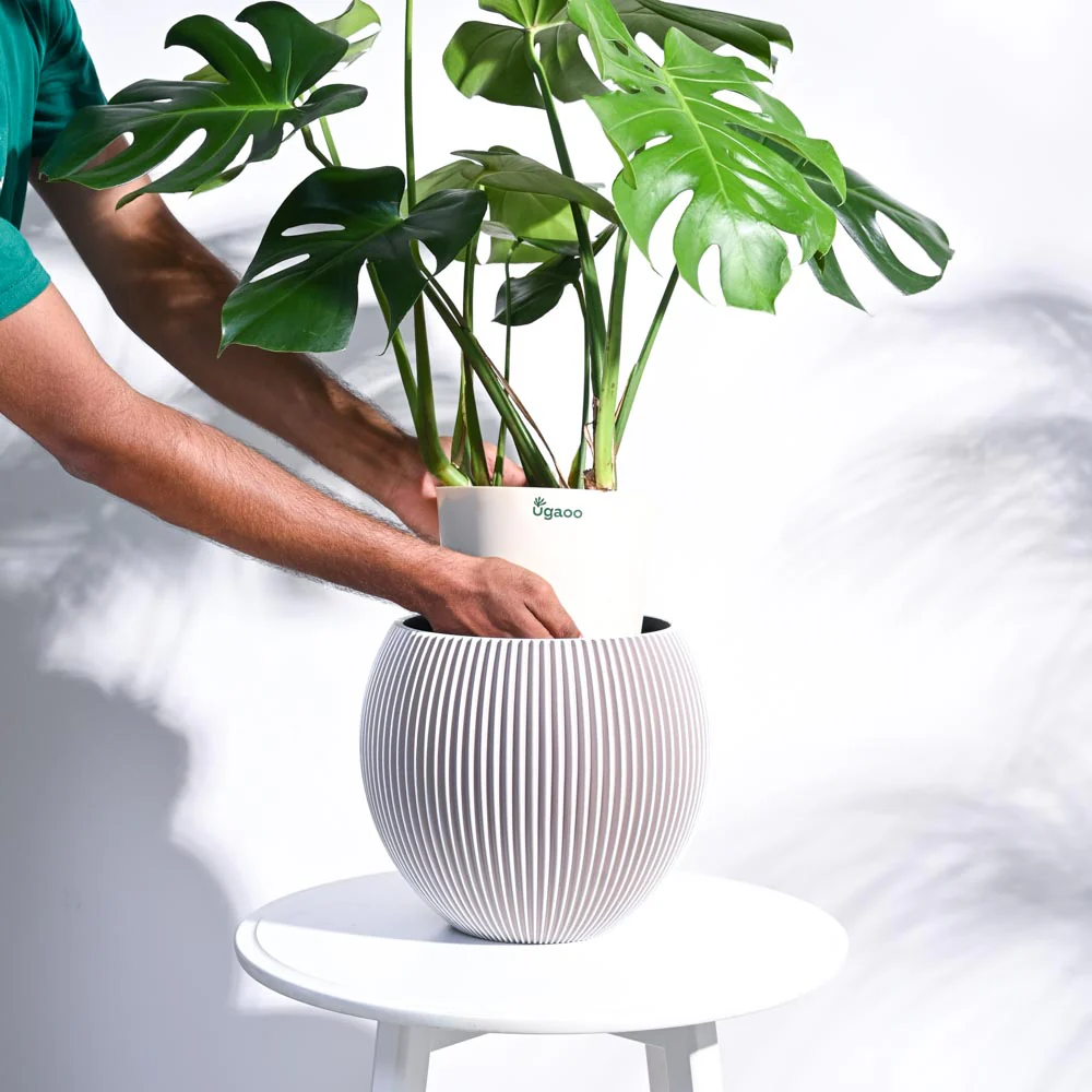 Zuri Vase Ball Groove - Image 52