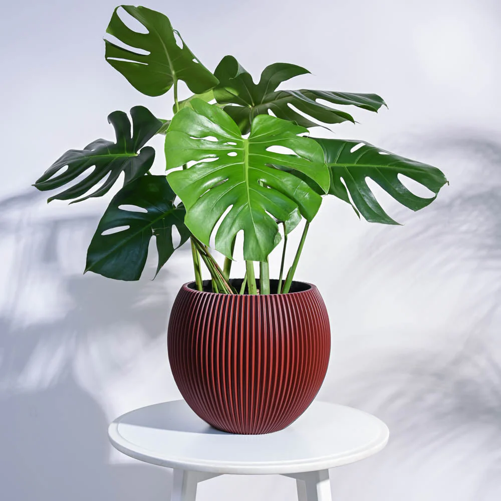 Zuri Vase Ball Groove - Image 55