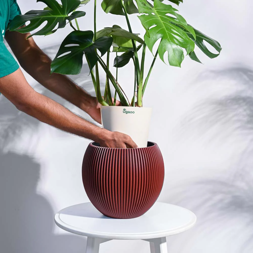 Zuri Vase Ball Groove - Image 58