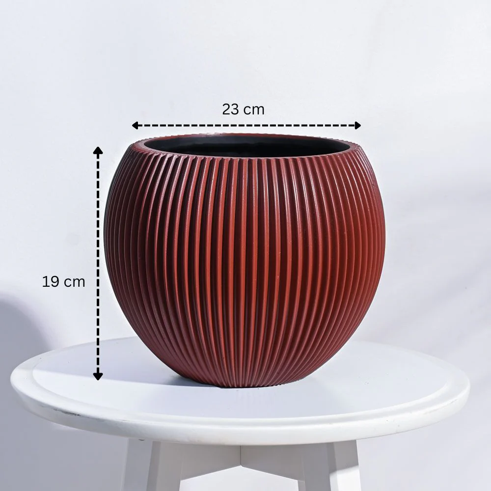 Zuri Vase Ball Groove - Image 62