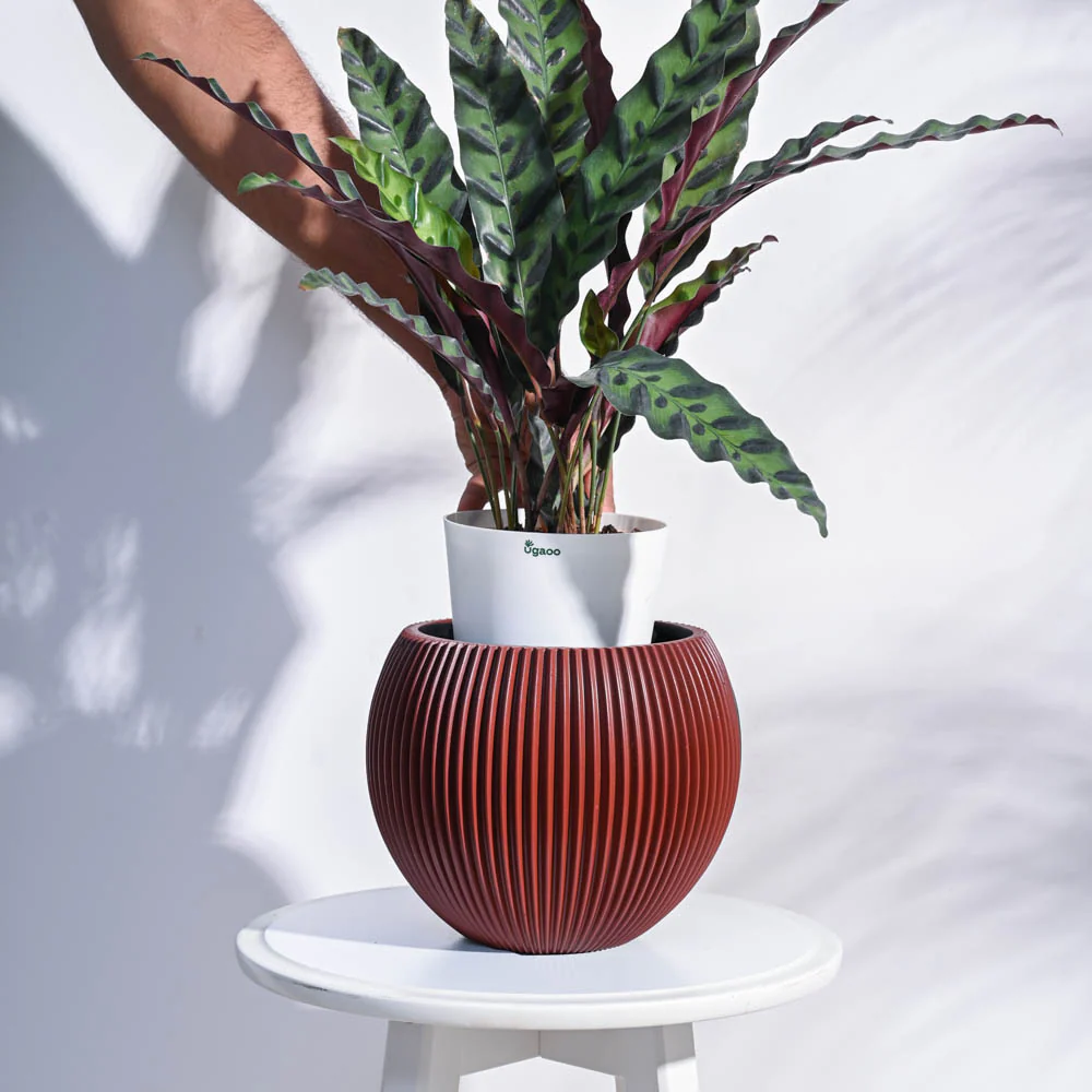 Zuri Vase Ball Groove - Image 64