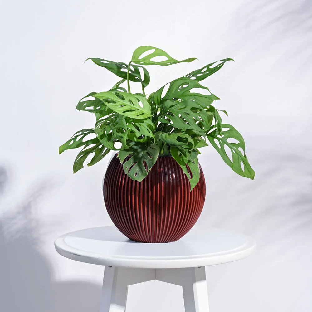 Zuri Vase Ball Groove - Image 67