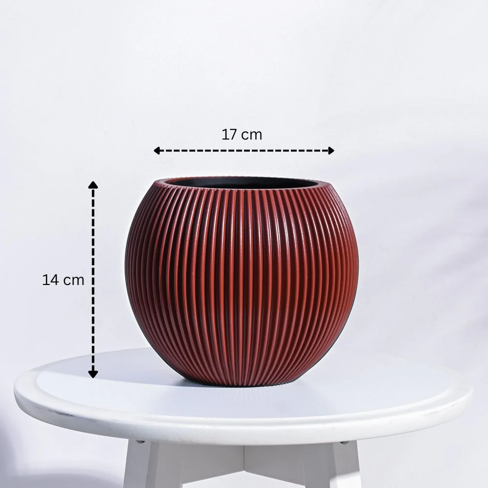 Zuri Vase Ball Groove - Image 68