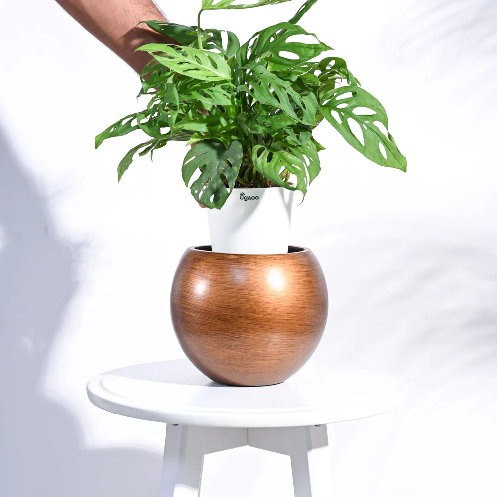 Zuri Vase Ball Retro - Image 10