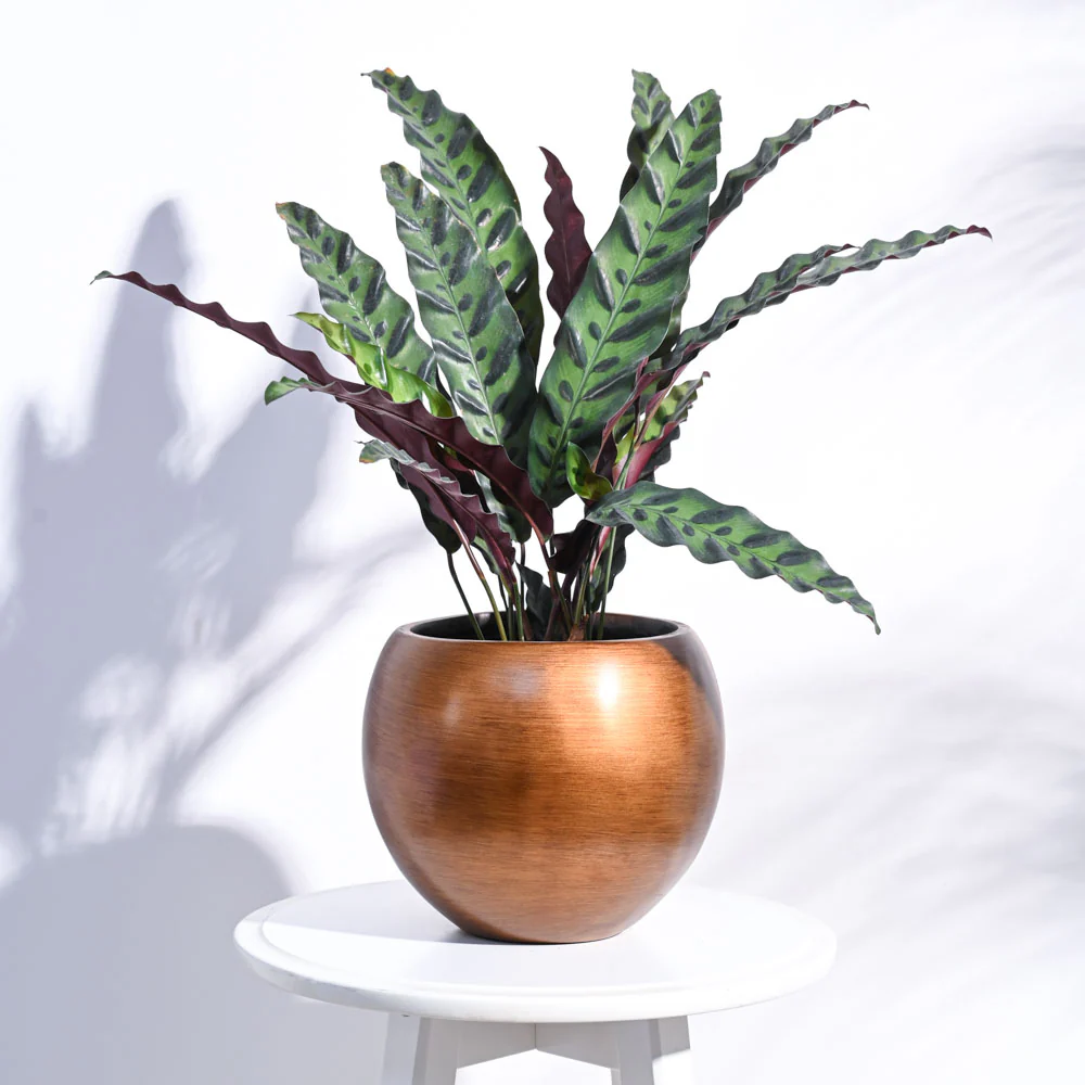 Zuri Vase Ball Retro - Image 13