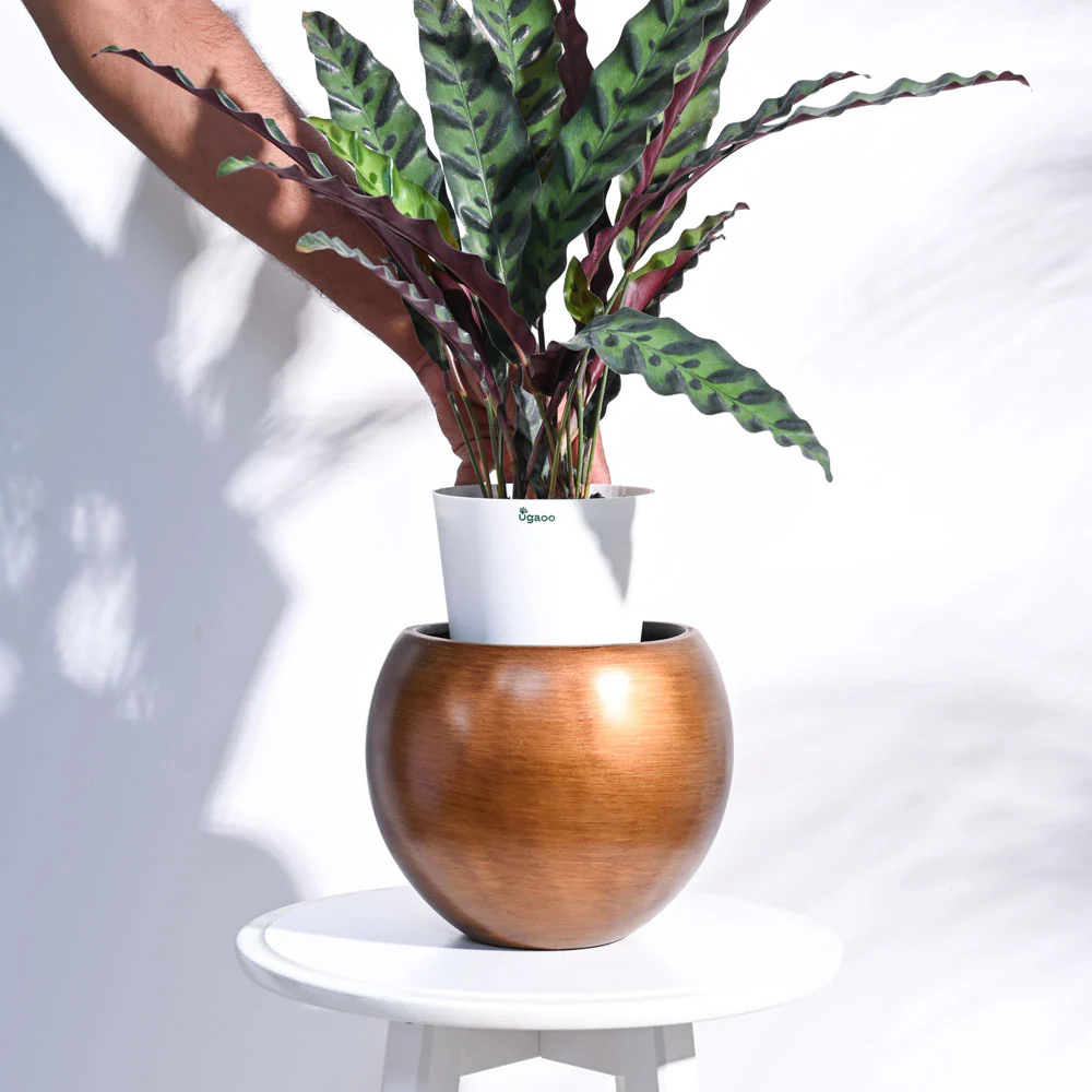 Zuri Vase Ball Retro - Image 16