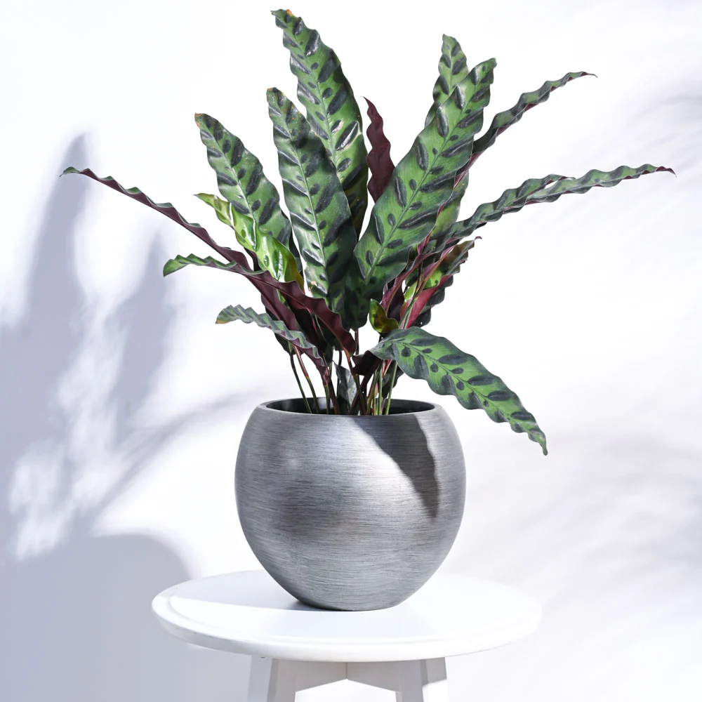 Zuri Vase Ball Retro - Image 19