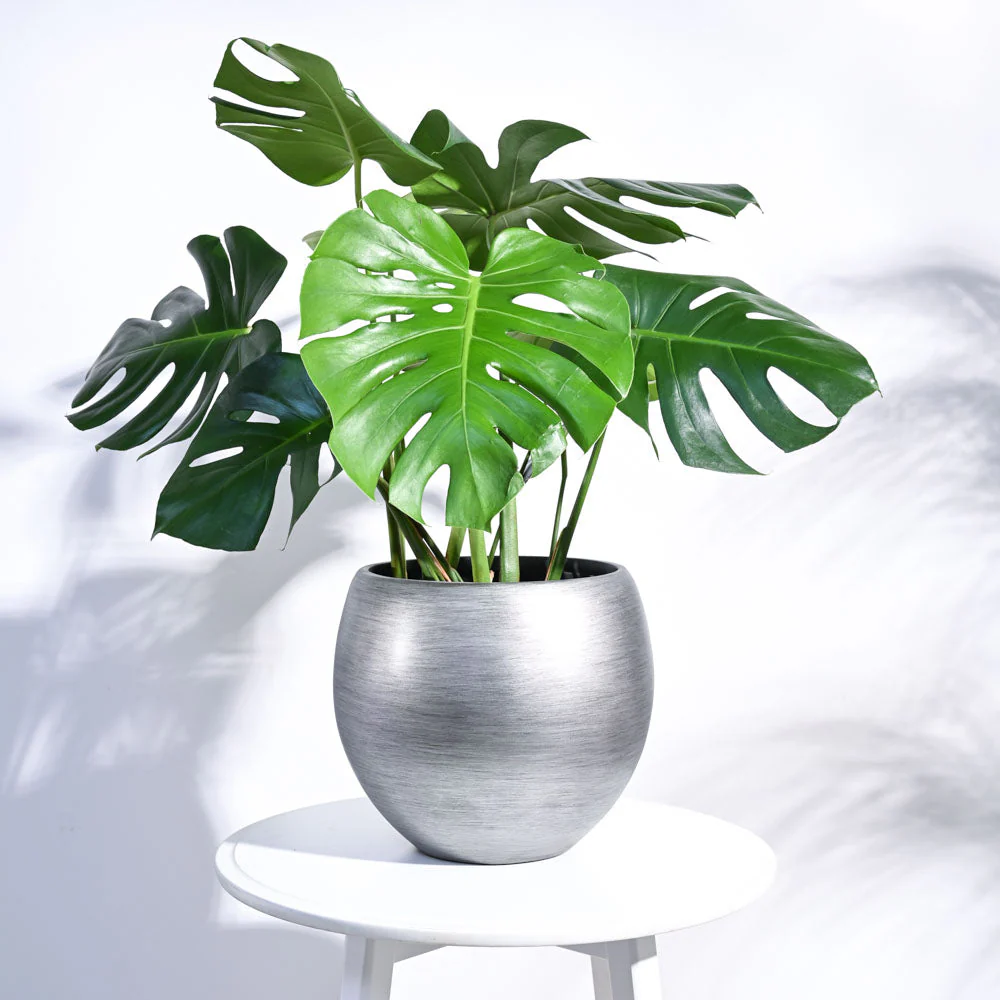 Zuri Vase Ball Retro - Image 31