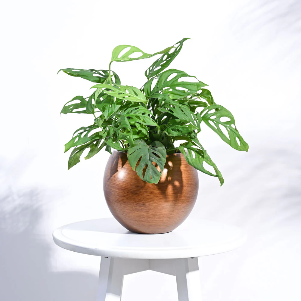 Zuri Vase Ball Retro - Image 7
