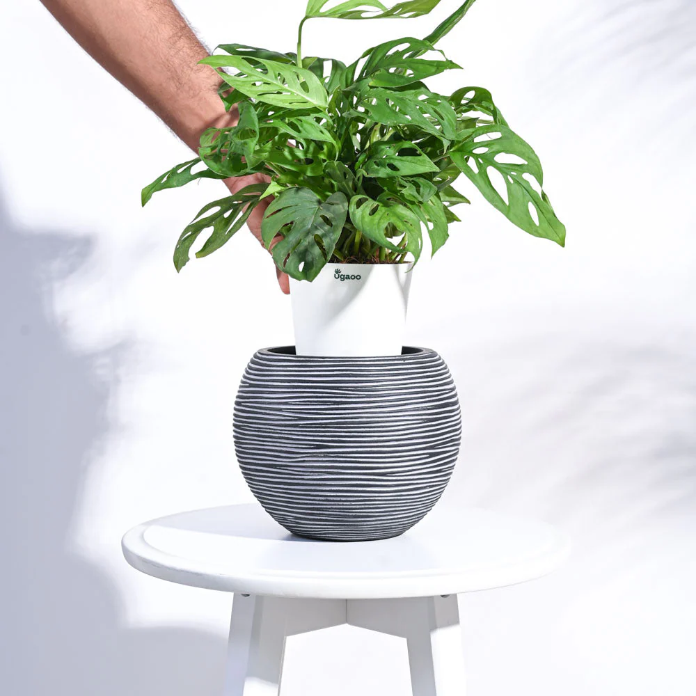 Zuri Vase ball Rib - Image 11