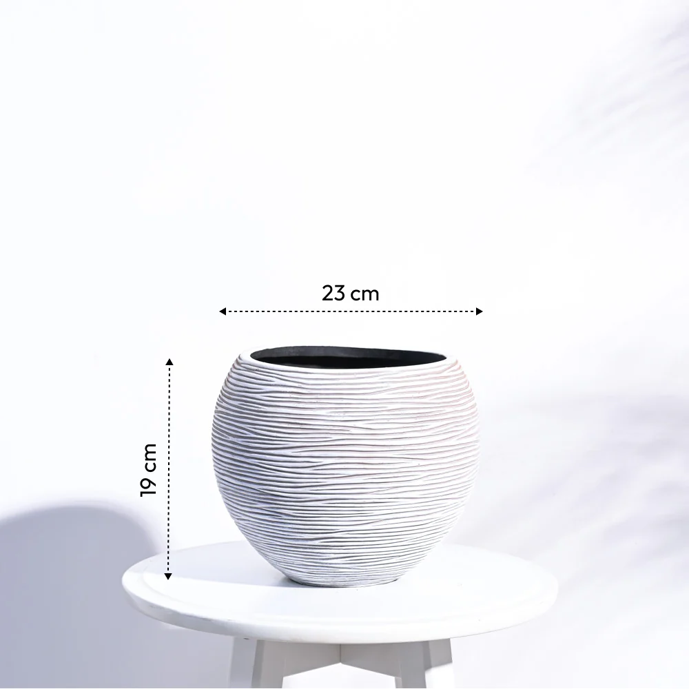 Zuri Vase ball Rib - Image 21