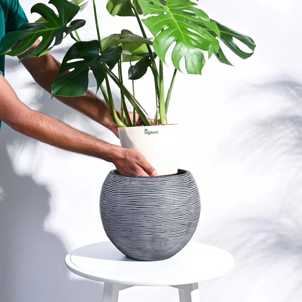 Zuri Vase ball Rib - Image 29