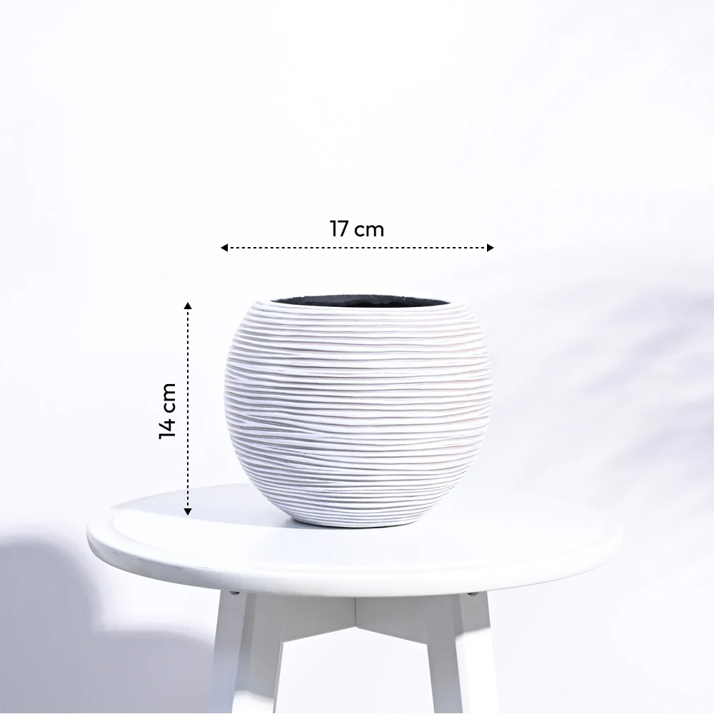Zuri Vase ball Rib - Image 3