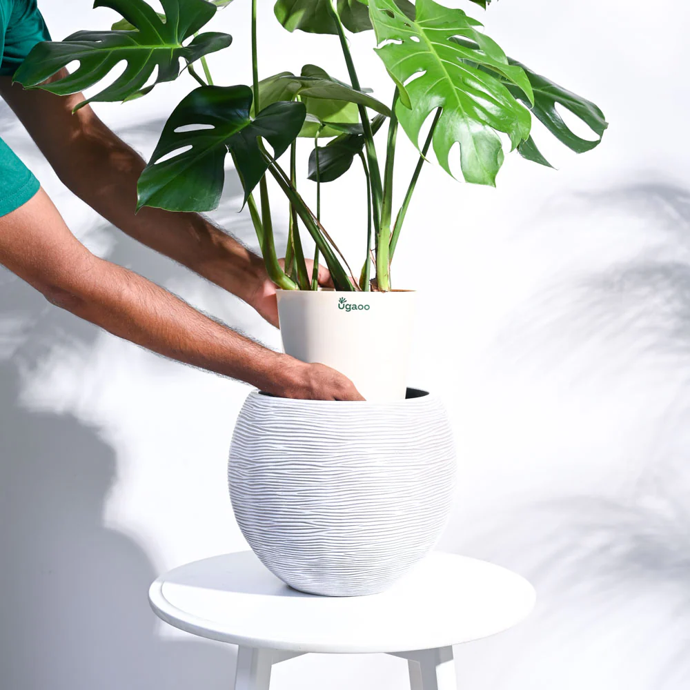 Zuri Vase ball Rib - Image 34