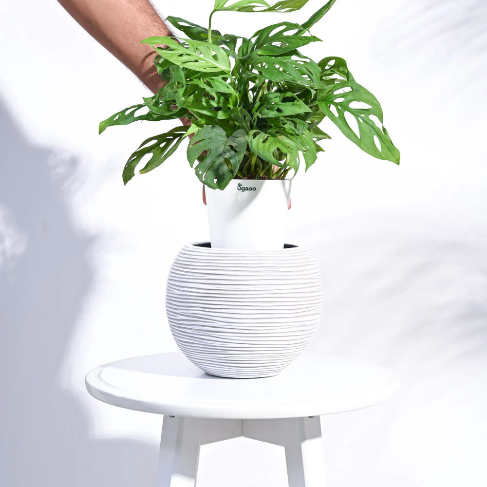 Zuri Vase ball Rib - Image 5
