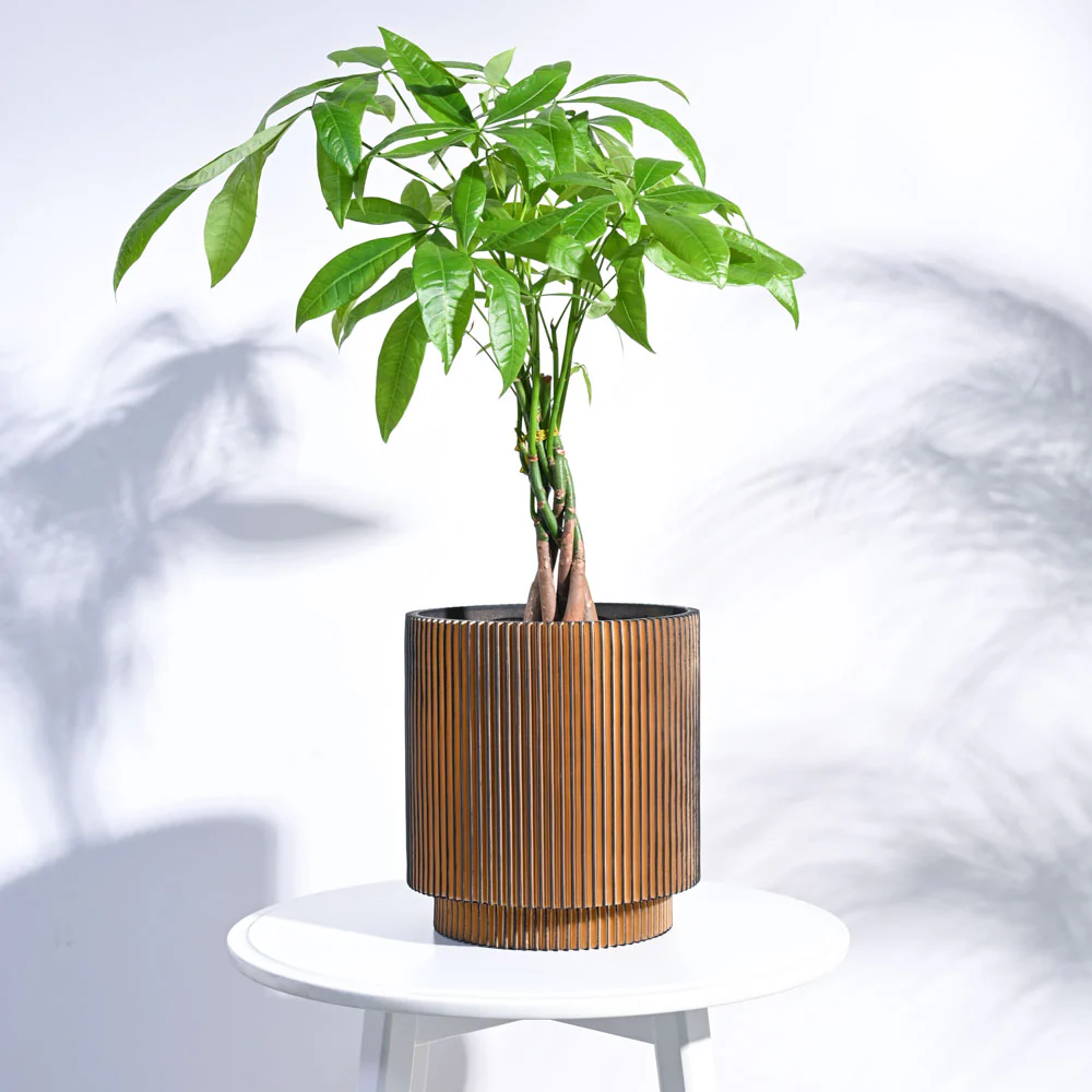 Zuri Vase Cylinder Groove - Image 11