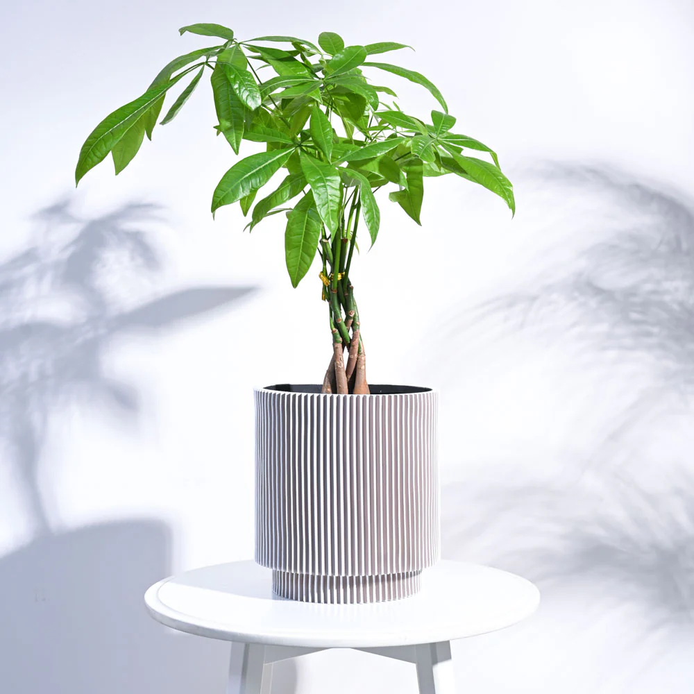 Zuri Vase Cylinder Groove - Image 16