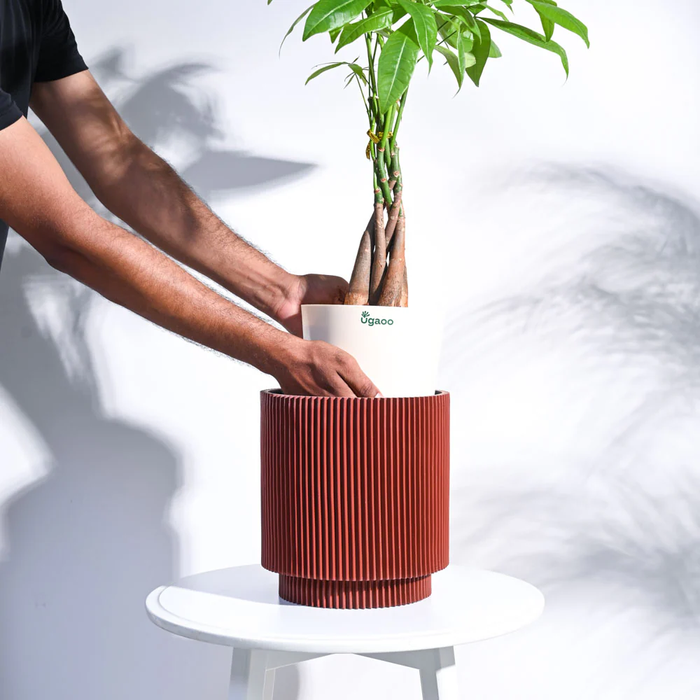 Zuri Vase Cylinder Groove - Image 4