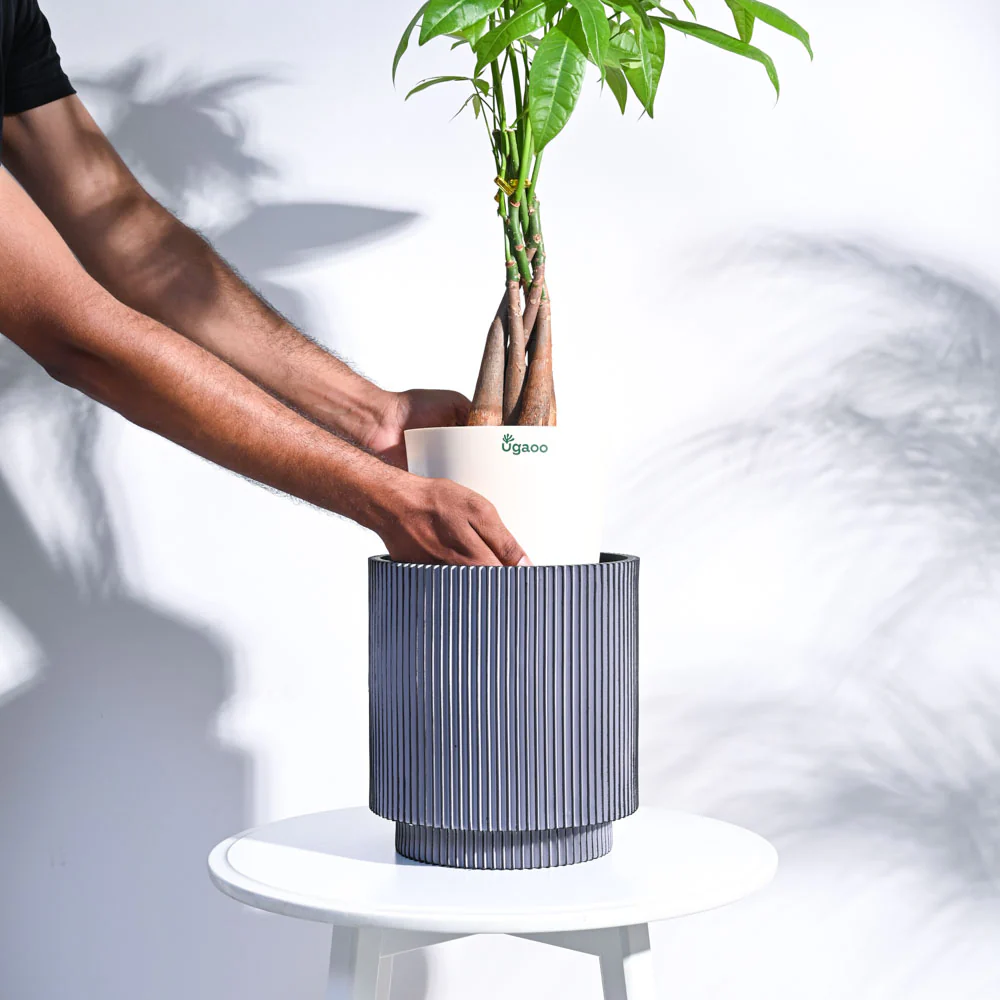 Zuri Vase Cylinder Groove - Image 9